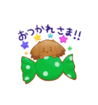 ダックスのキャンちゃん①（個別スタンプ：5）
