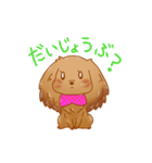 ダックスのキャンちゃん①（個別スタンプ：11）