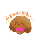 ダックスのキャンちゃん①（個別スタンプ：17）