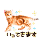 猫写真スタンプ9【敬語・ていねい語】（個別スタンプ：29）