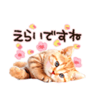 猫写真スタンプ9【敬語・ていねい語】（個別スタンプ：34）