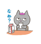 市川ヒロシ ねこのこ先生（個別スタンプ：21）