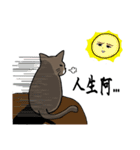 The true colors of Meow Nai（個別スタンプ：11）