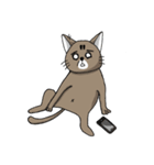 The true colors of Meow Nai（個別スタンプ：16）