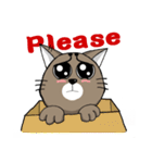 The true colors of Meow Nai（個別スタンプ：21）