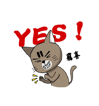 The true colors of Meow Nai（個別スタンプ：37）