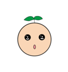 Seed Taro Expression（個別スタンプ：3）
