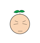 Seed Taro Expression（個別スタンプ：12）