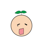 Seed Taro Expression（個別スタンプ：20）