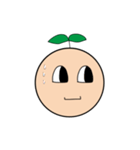 Seed Taro Expression（個別スタンプ：24）