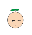 Seed Taro Expression（個別スタンプ：29）