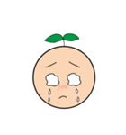 Seed Taro Expression（個別スタンプ：31）