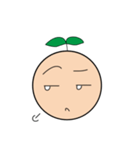 Seed Taro Expression（個別スタンプ：33）
