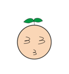 Seed Taro Expression（個別スタンプ：34）