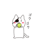 ねこぱっち3（個別スタンプ：2）