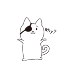 ねこぱっち3（個別スタンプ：11）