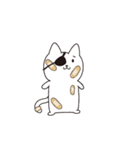 ねこぱっち3（個別スタンプ：26）