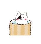 ねこぱっち3（個別スタンプ：31）