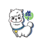 unusual alpaca（個別スタンプ：1）