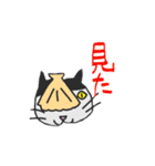 Mutsu Bay Scallop and Cats（個別スタンプ：7）