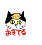 Mutsu Bay Scallop and Cats（個別スタンプ：31）