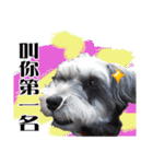 My Schnauzer I（個別スタンプ：18）