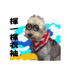 My Schnauzer I（個別スタンプ：24）