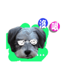 My Schnauzer I（個別スタンプ：26）