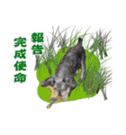 My Schnauzer I（個別スタンプ：29）