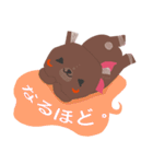 Bonnie bear (Often used words)（個別スタンプ：20）