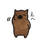 旦那さんはウォンバット（個別スタンプ：12）