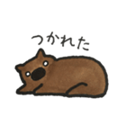 旦那さんはウォンバット（個別スタンプ：19）