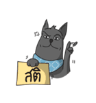 Na Rak Dee (The Dog Hotel BKK)（個別スタンプ：1）