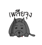 Na Rak Dee (The Dog Hotel BKK)（個別スタンプ：11）
