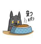 Na Rak Dee (The Dog Hotel BKK)（個別スタンプ：38）