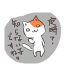 営業職な猫（個別スタンプ：18）