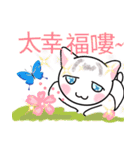 Blue eyes cat-Ben and Big（個別スタンプ：28）