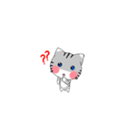 Pocchi the Cat（個別スタンプ：5）