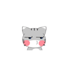 Pocchi the Cat（個別スタンプ：17）