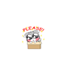 Pocchi the Cat（個別スタンプ：18）