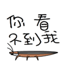 Jun Cockroach（個別スタンプ：2）