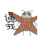 Jun Cockroach（個別スタンプ：5）