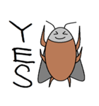 Jun Cockroach（個別スタンプ：21）