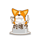 corgi hanji（個別スタンプ：9）