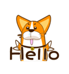 corgi hanji（個別スタンプ：13）