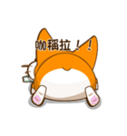 corgi hanji（個別スタンプ：18）