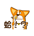 corgi hanji（個別スタンプ：21）