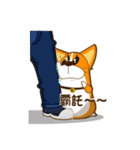 corgi hanji（個別スタンプ：23）