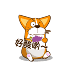 corgi hanji（個別スタンプ：25）