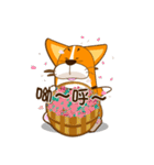 corgi hanji（個別スタンプ：30）